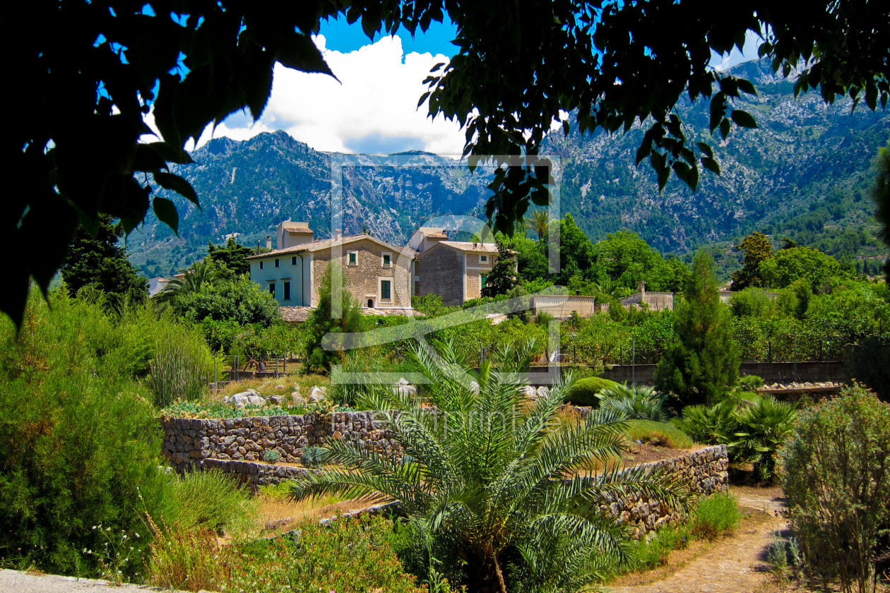 Bild-Nr.: 11841389 Soller - Botanical Garden - I erstellt von alvarosoto