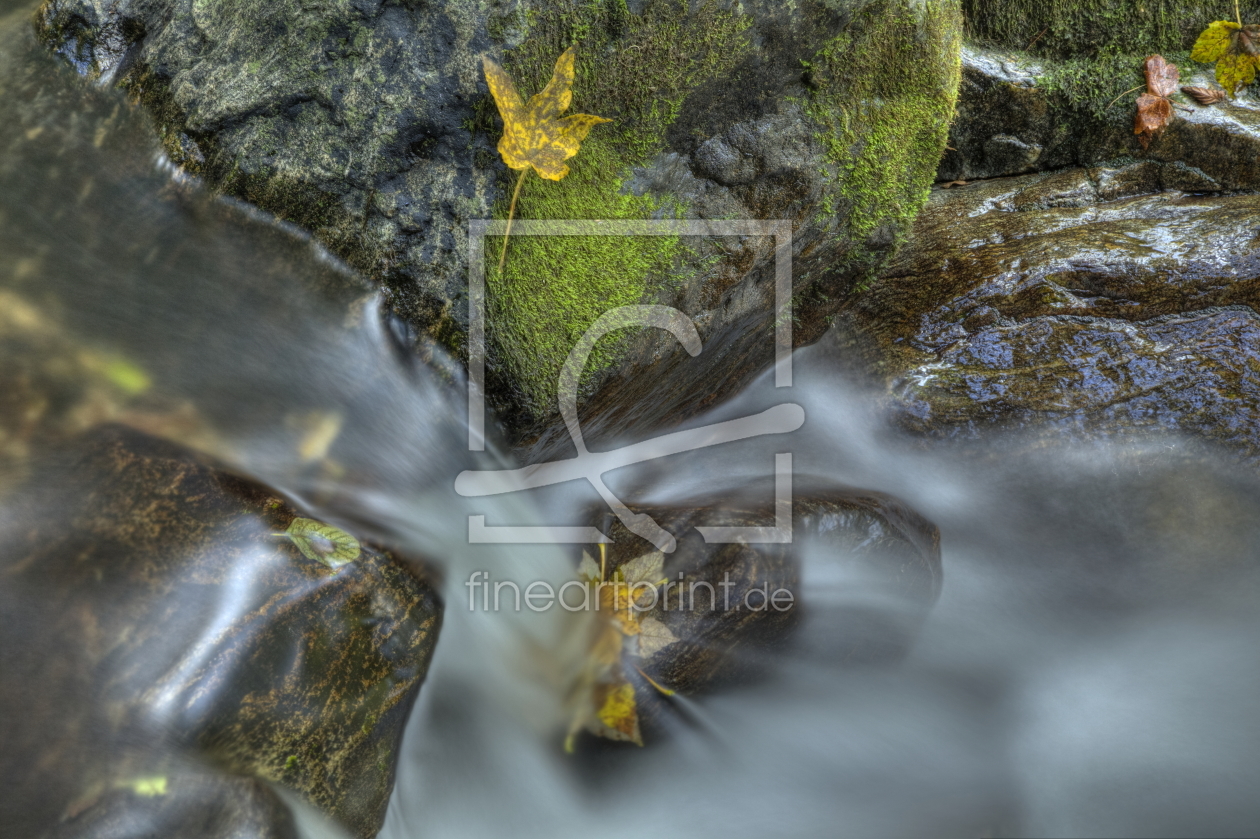 Bild-Nr.: 11841463 Bach im Herbst erstellt von digidias