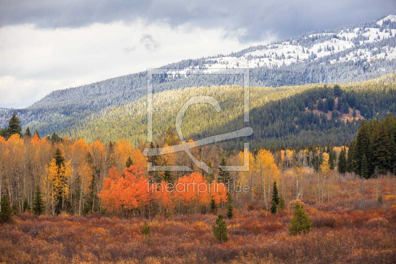 Bild-Nr.: 11843139 Herbst im Teton National Park erstellt von TomKli
