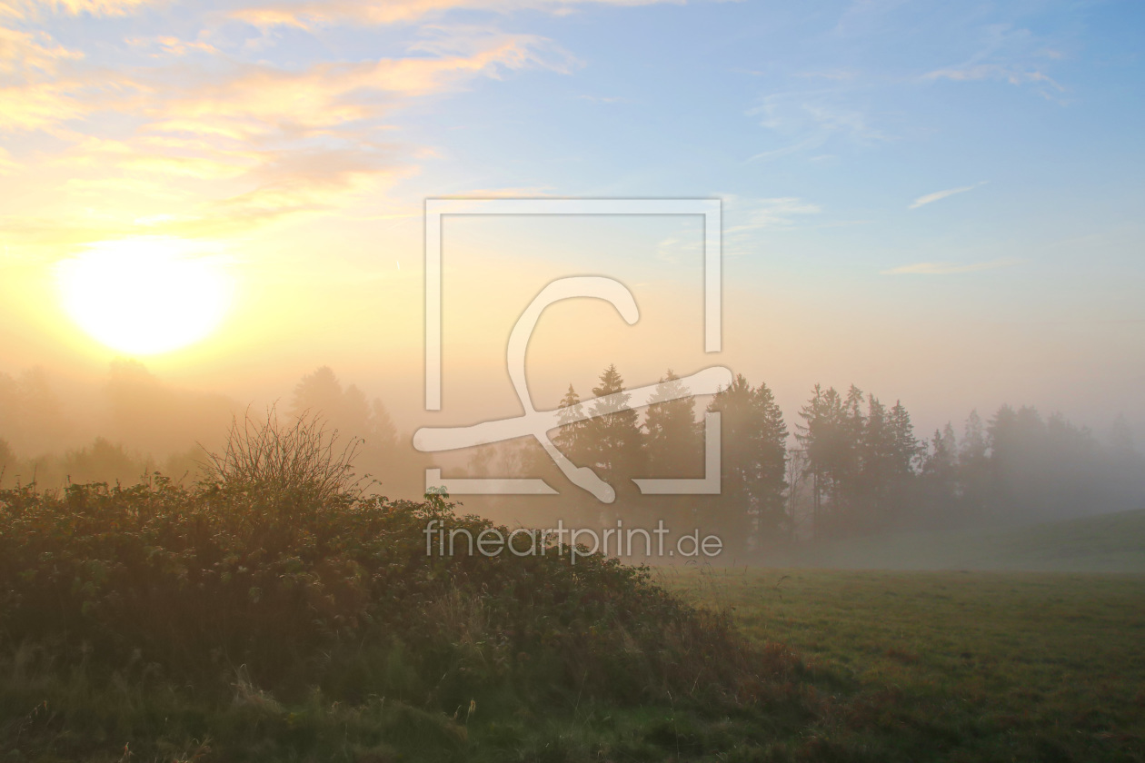 Bild-Nr.: 11843485 Traumhafter Sonnenaufgang im Nebel erstellt von falconer59