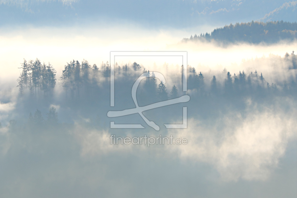 Bild-Nr.: 11844221 Der Wald im Nebel erstellt von falconer59