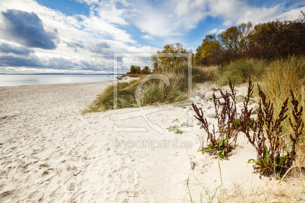 Bild-Nr.: 11845159 Herbstzeit an der Ostsee erstellt von Ursula Reins