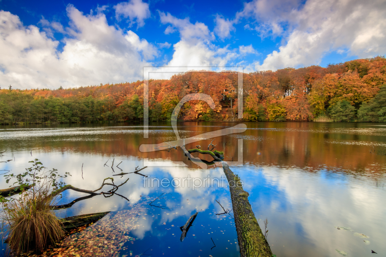 Bild-Nr.: 11846007 Herbst erstellt von Thomas-Jahnke-Photography