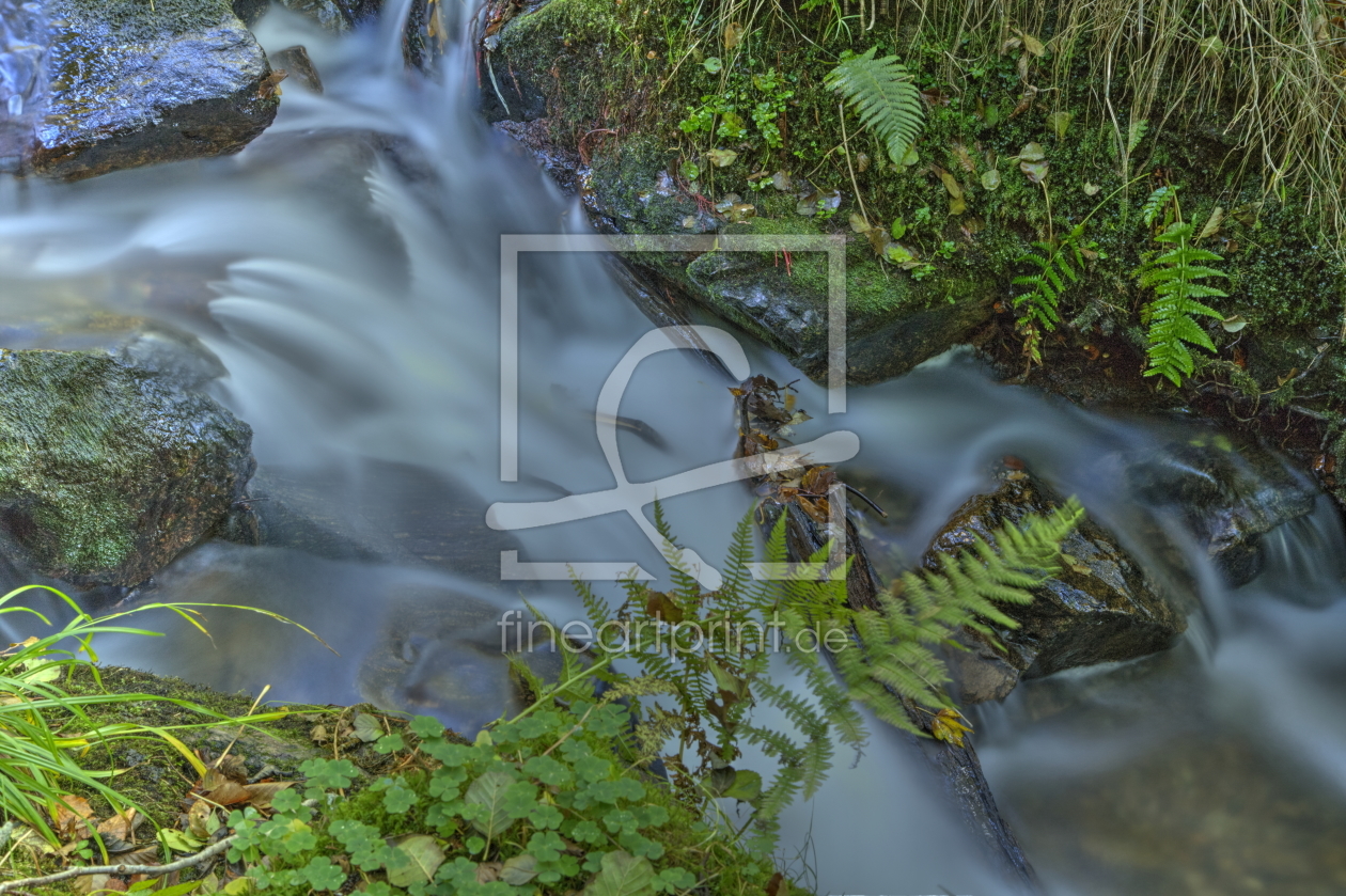 Bild-Nr.: 11846151 Wildbach bei Todtnau erstellt von digidias