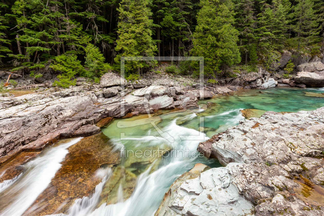 Bild-Nr.: 11846449 Wasser im Wald erstellt von TomKli