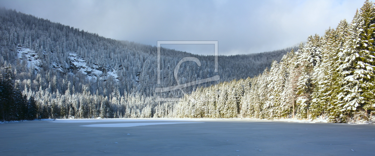 Bild-Nr.: 11846651 Licht am Arbersee erstellt von GUGIGEI