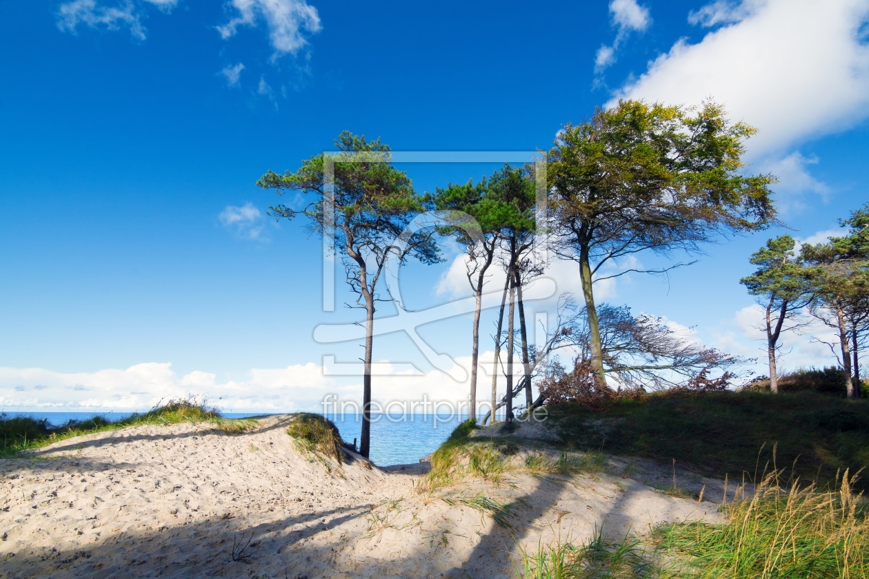 Bild-Nr.: 11846777 Am Weststrand auf dem Darß erstellt von Reiner Würz