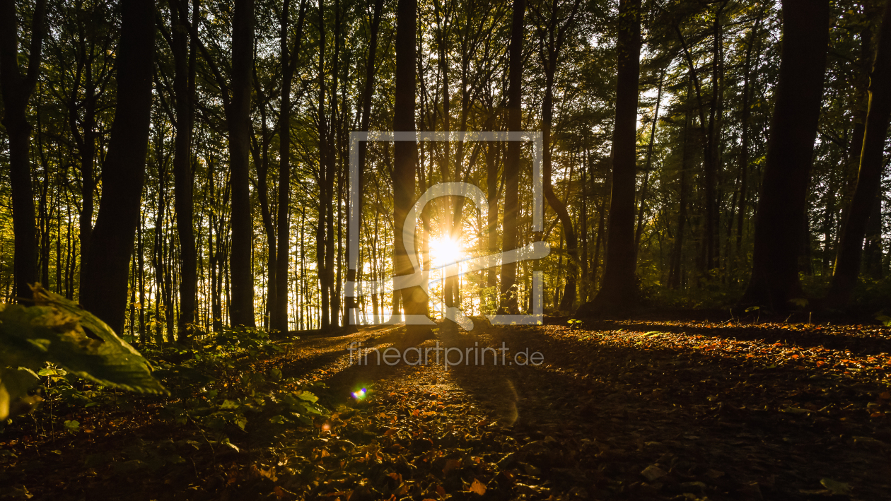 Bild-Nr.: 11847009 Herbstsonne erstellt von Marschel