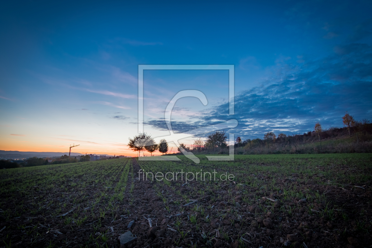 Bild-Nr.: 11847465 Sonnenuntergang im Feld  erstellt von Chamillio