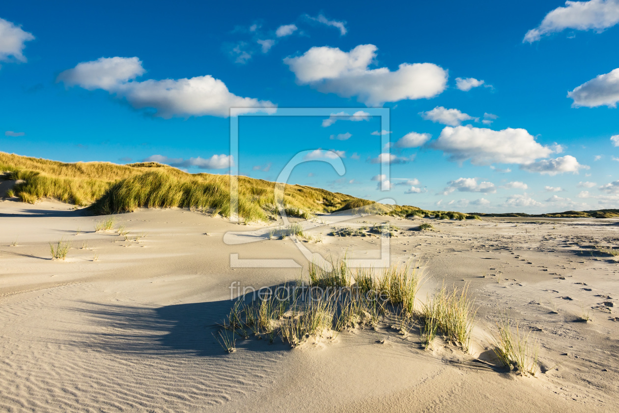 Bild-Nr.: 11848645 Amrum Bild-Nr.: 11848645 Amrum erstellt von Rico Ködder