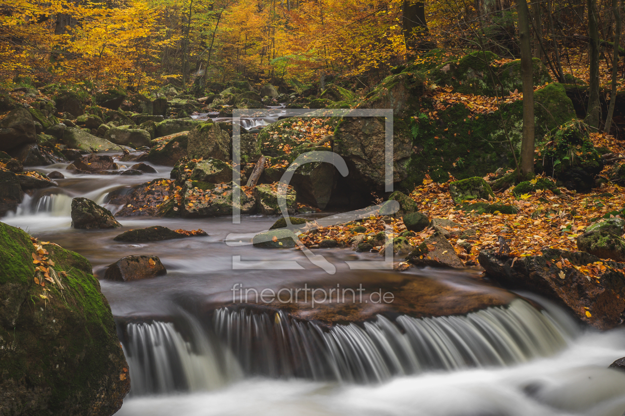 Bild-Nr.: 11849373 Harzer Wasserfall im Herbst erstellt von Mohr-Moments-Photography