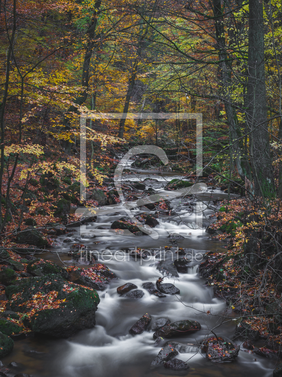 Bild-Nr.: 11849379 Die Ilse im Herbst erstellt von Mohr-Moments-Photography