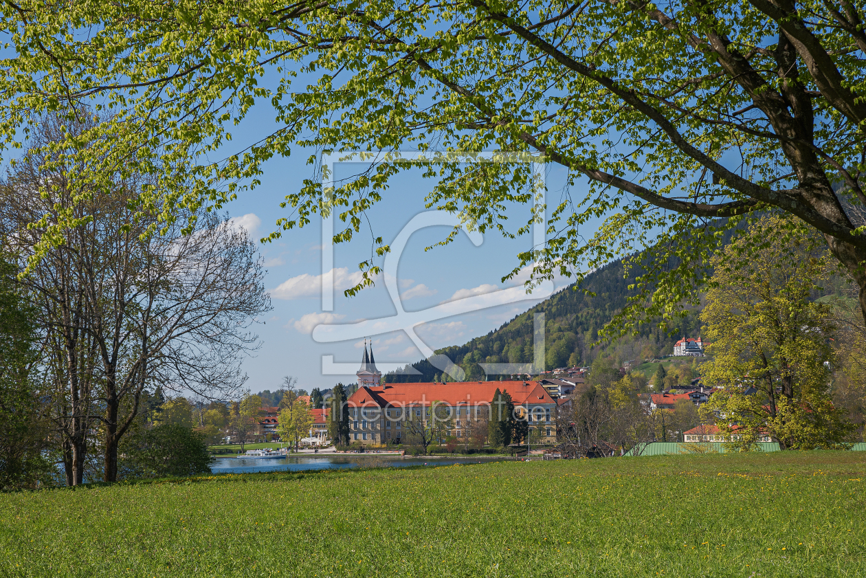 Bild-Nr.: 11850227 Schloss-Fruehling erstellt von SusaZoom