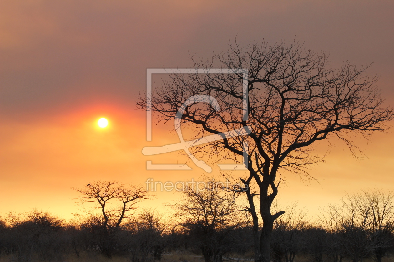 Bild-Nr.: 11850589 Sonnenuntergang in Afrika erstellt von det-mil