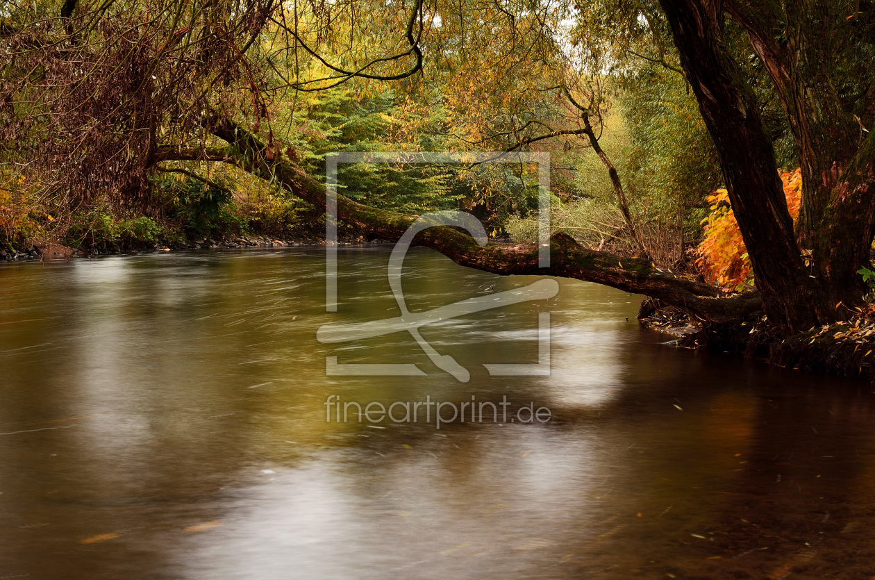 Bild-Nr.: 11850971 Fluss in den Wald erstellt von KundenNr-318316