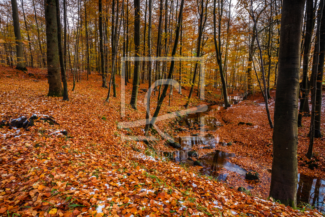 Bild-Nr.: 11851201 WaldBach erstellt von Ursula Reins