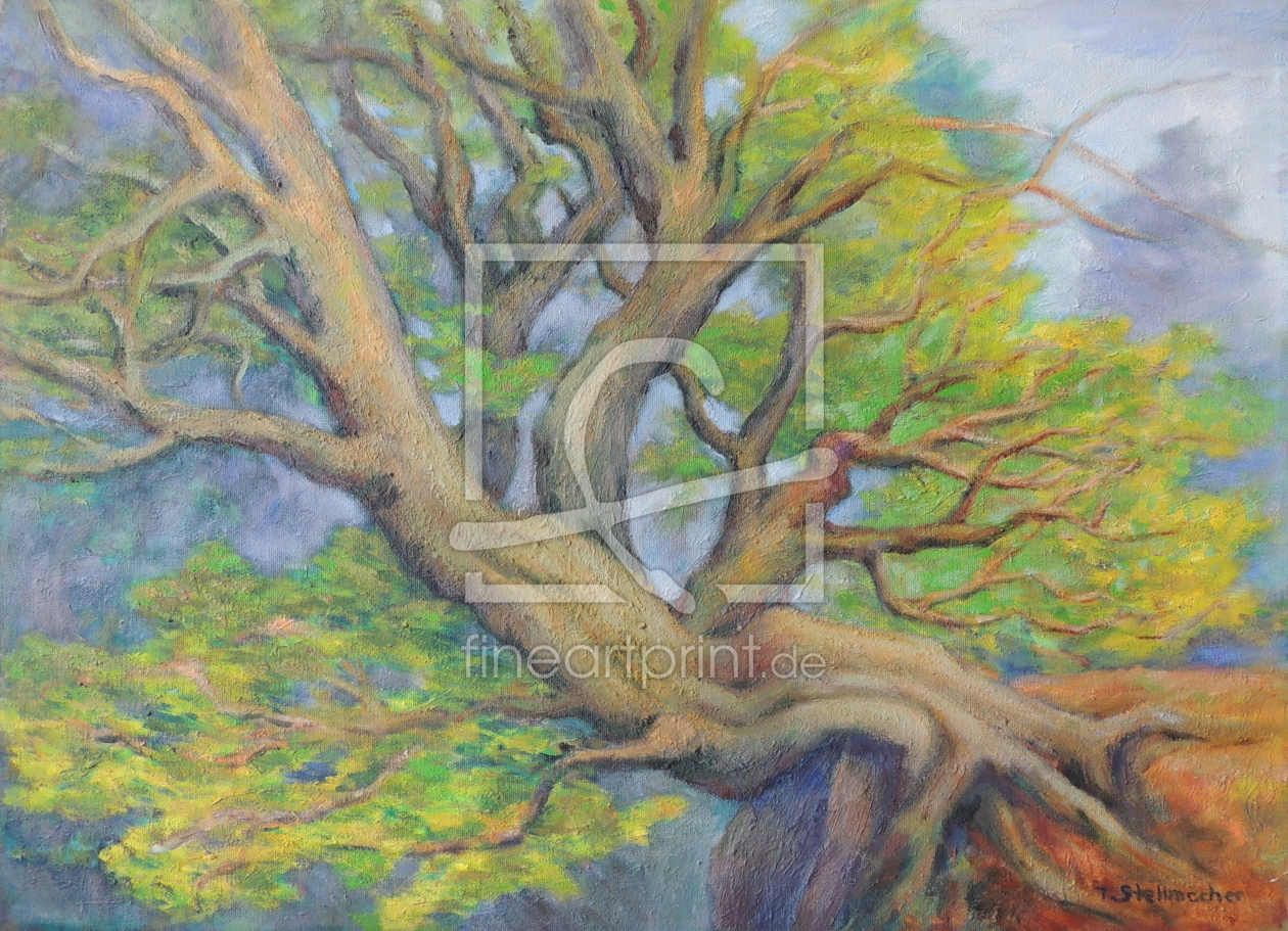Bild-Nr.: 11851447 Alter grünender Baum an der Hangkante erstellt von Landschaftsmaler