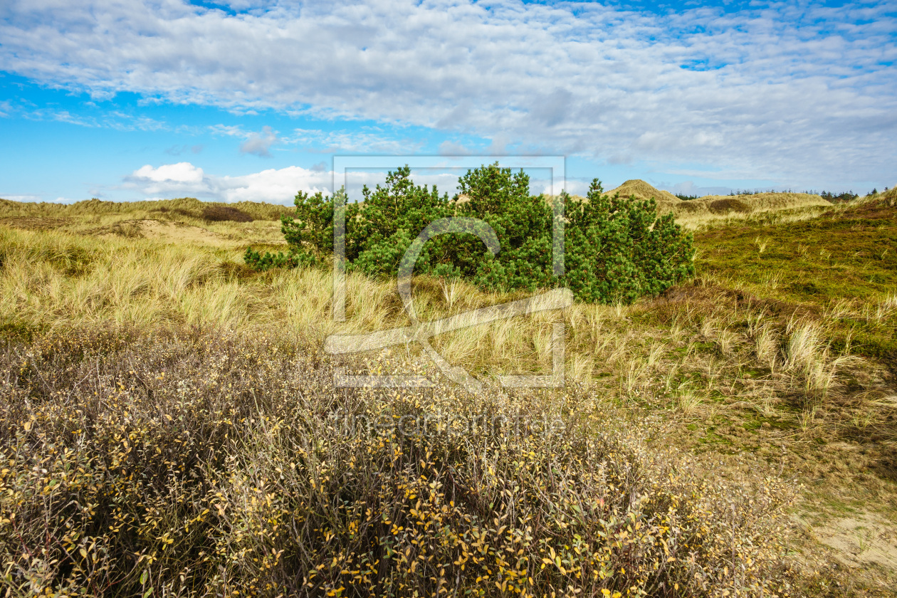 Bild-Nr.: 11852390 Dünenlandschaft erstellt von Rico Ködder