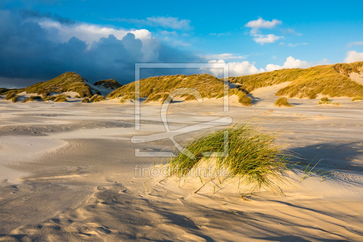 Bild-Nr.: 11852392 Amrum Bild-Nr.: 11852392 Amrum erstellt von Rico Ködder