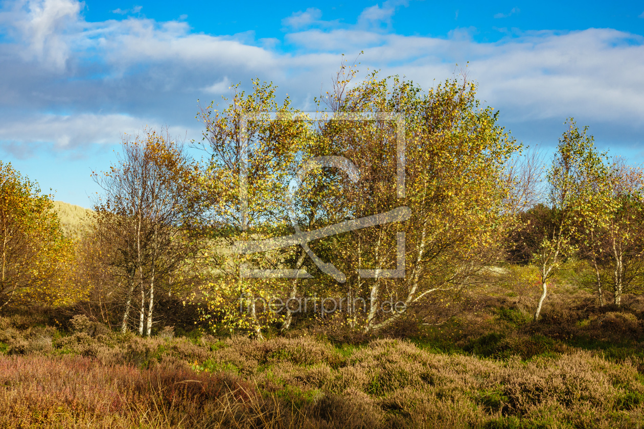 Bild-Nr.: 11852394 Landschaft erstellt von Rico Ködder