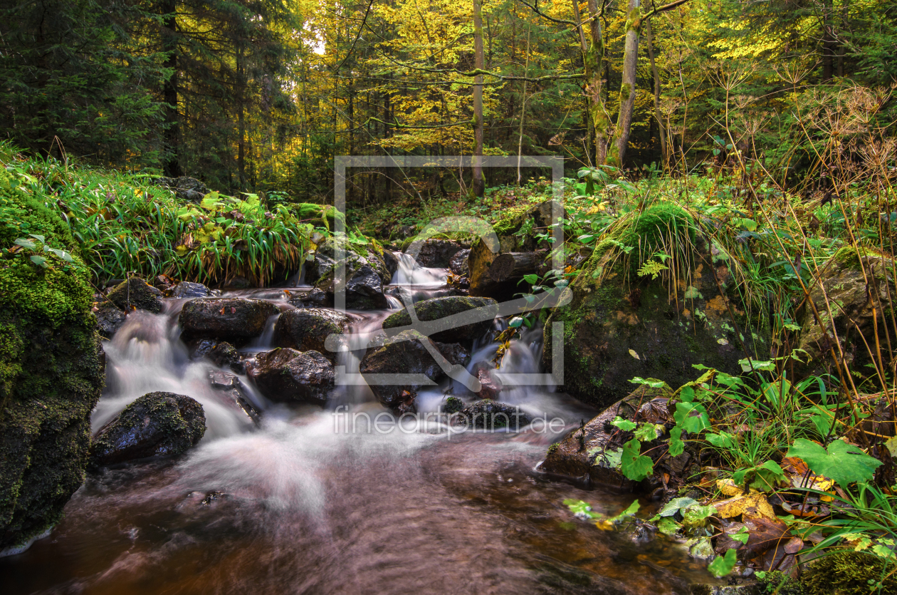 Bild-Nr.: 11852402 Herbst im Harz  erstellt von Steffen Gierok