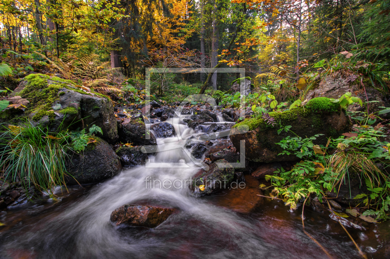 Bild-Nr.: 11852404 Herbst im Harz  erstellt von Steffen Gierok