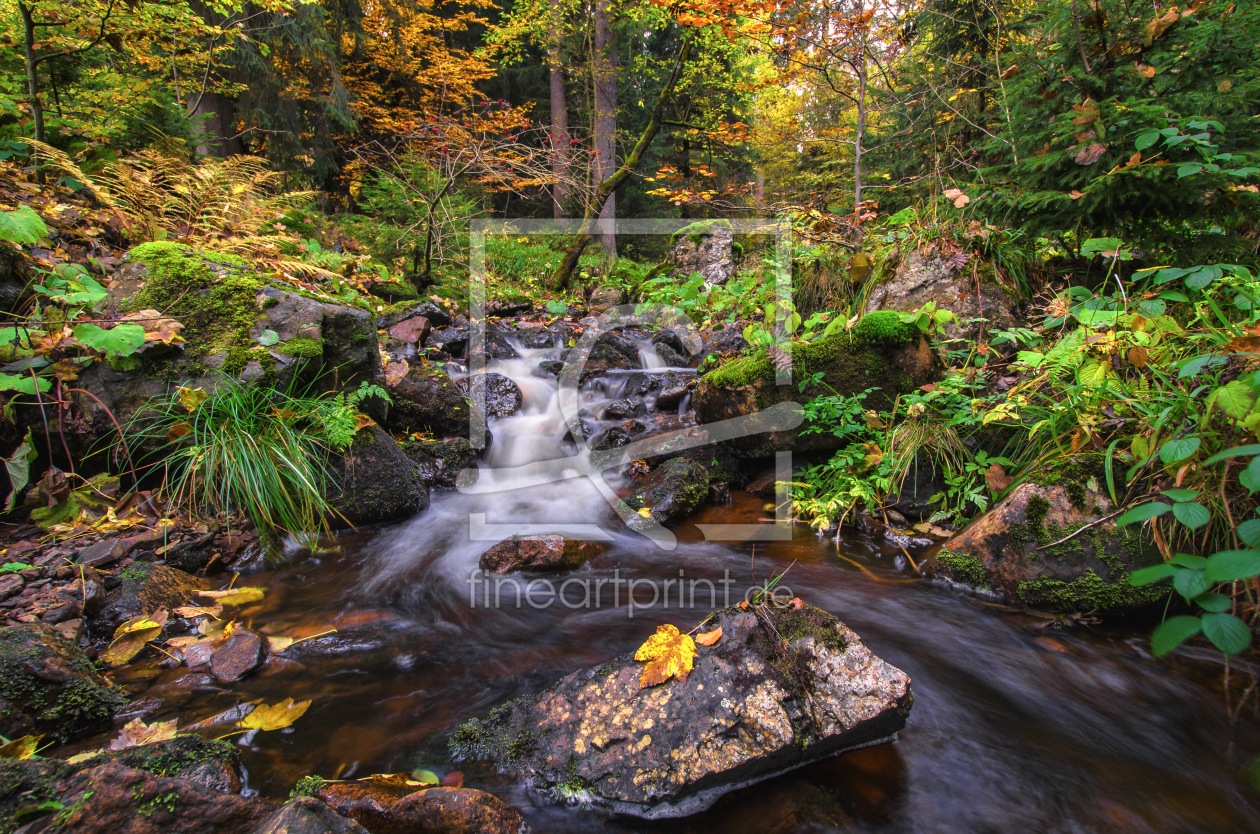 Bild-Nr.: 11852406 Herbst im Harz erstellt von Steffen Gierok