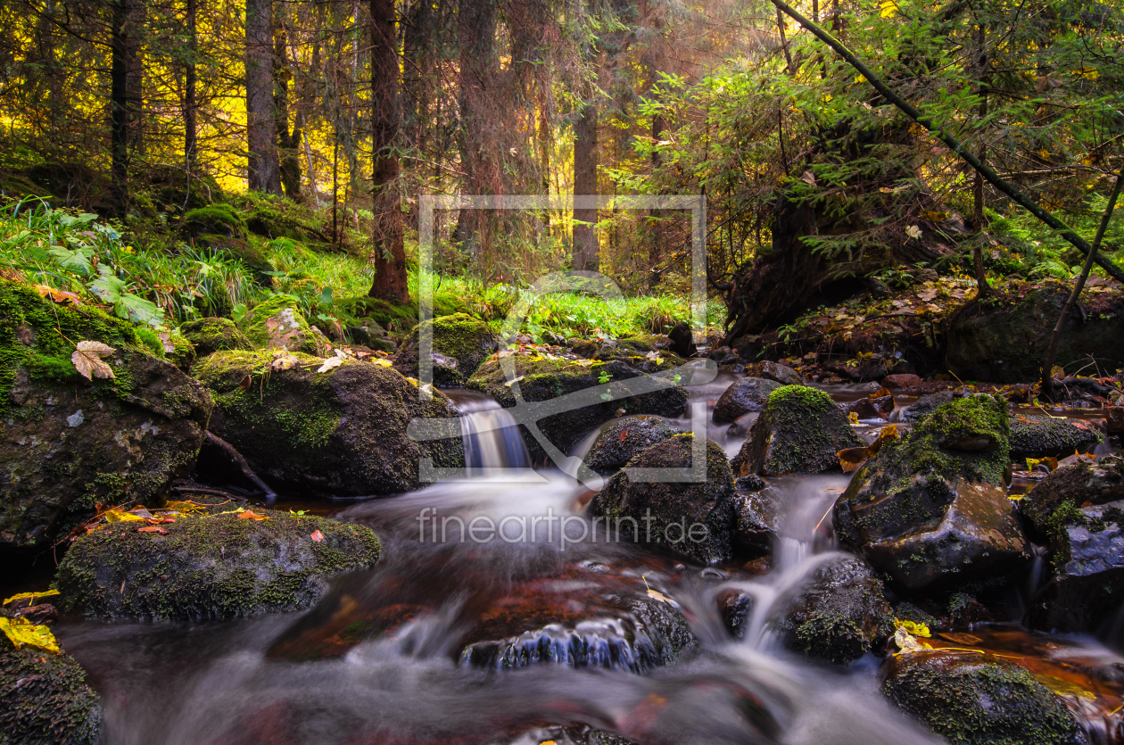 Bild-Nr.: 11852407 Herbst im Harz erstellt von Steffen Gierok