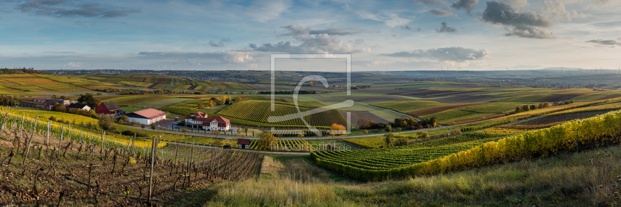 Bild-Nr.: 11852991 Herbstliches Rheinhessen 12 erstellt von Erhard Hess