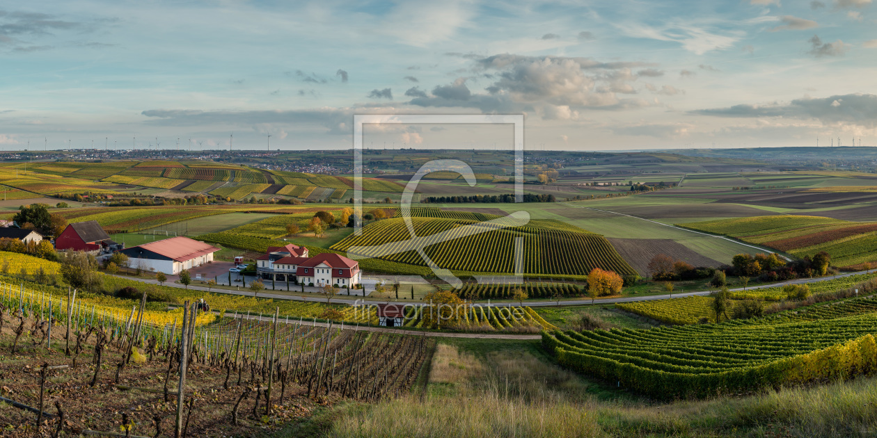 Bild-Nr.: 11853306 Herbstliches Rheinhessen 22 erstellt von Erhard Hess