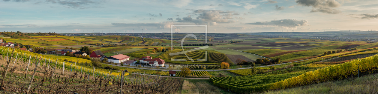 Bild-Nr.: 11853322 Herbstliches Rheinhessen 24 erstellt von Erhard Hess