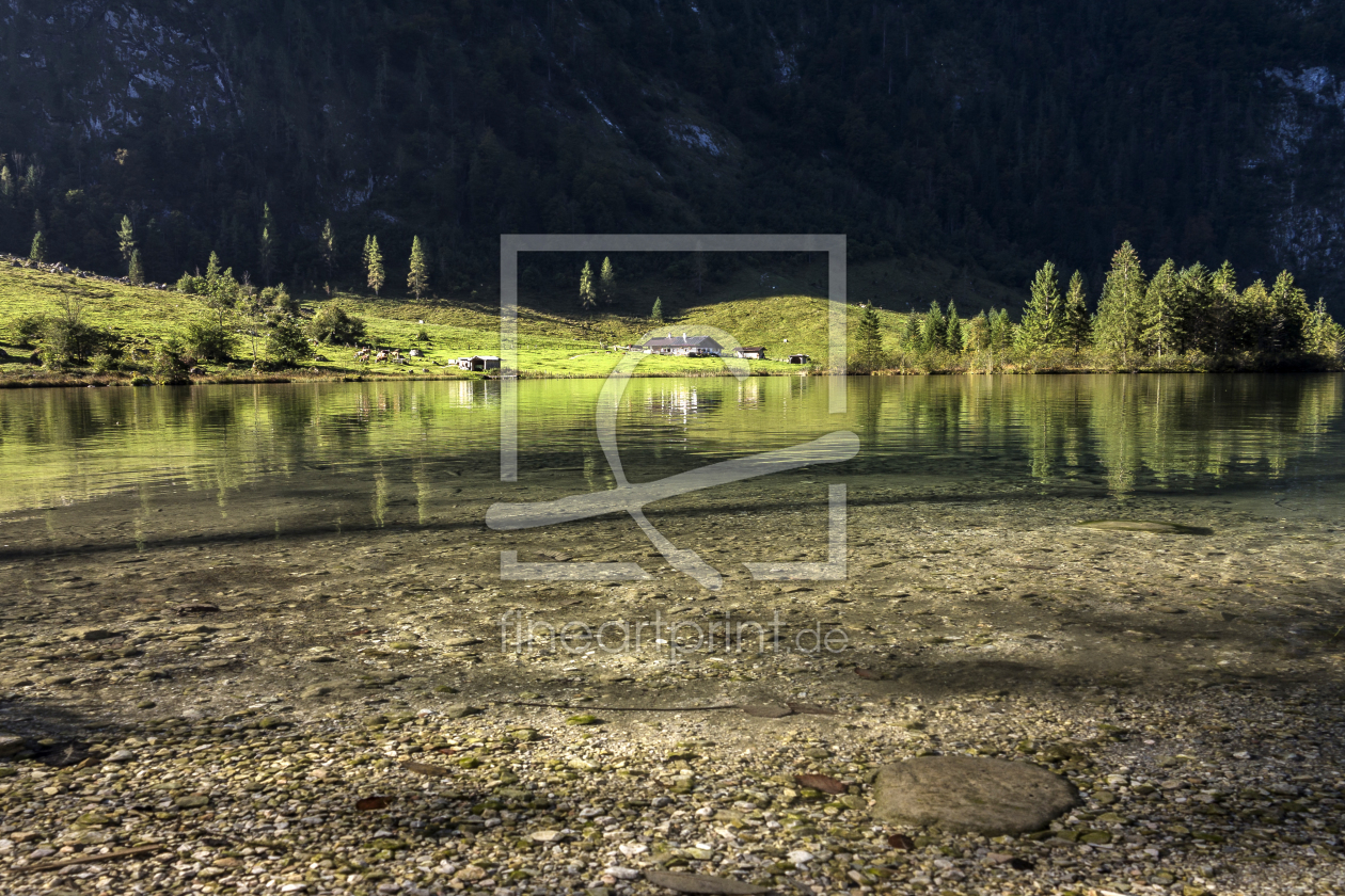 Bild-Nr.: 11854713 Südufer am Königssee Bild-Nr.: 11854713 Südufer am Königssee erstellt von Borgmann, Günter