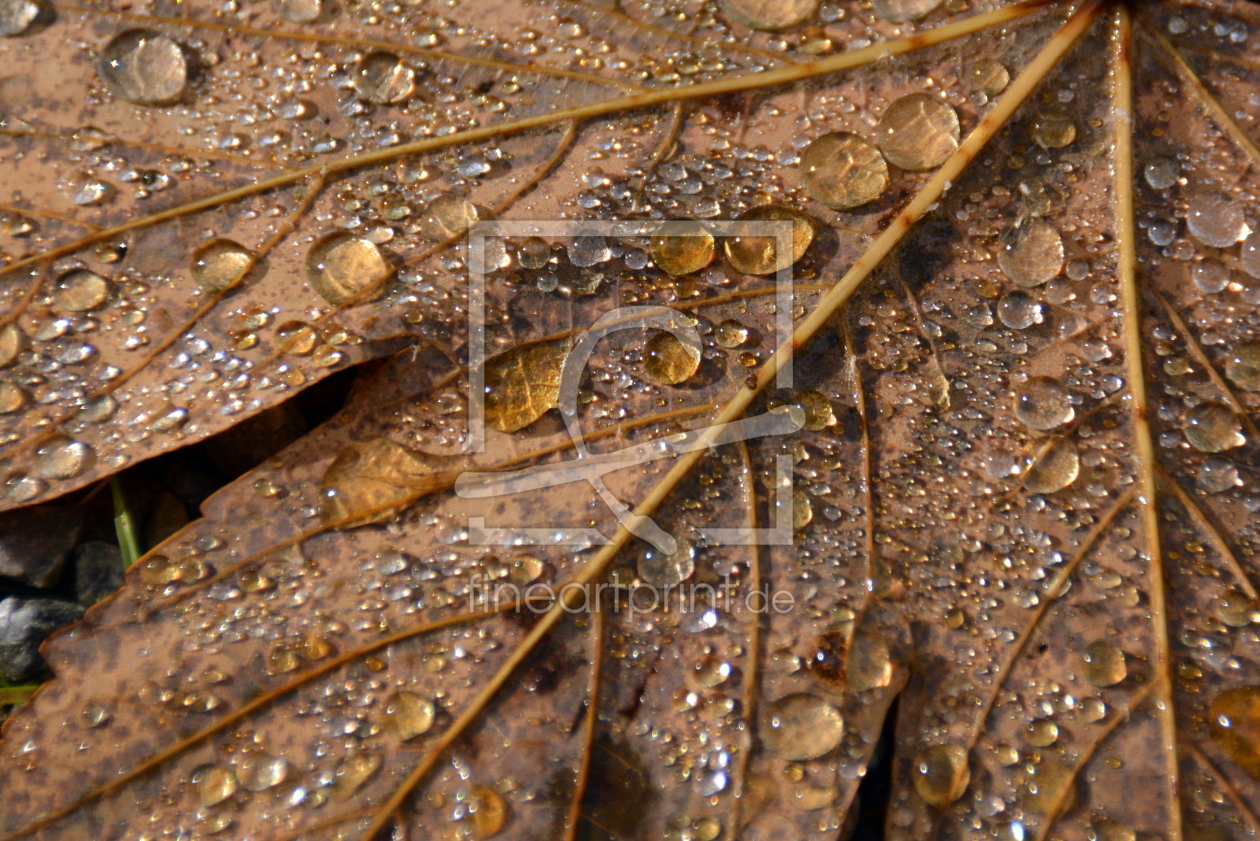 Bild-Nr.: 11854955 Perlen der Natur erstellt von GUGIGEI