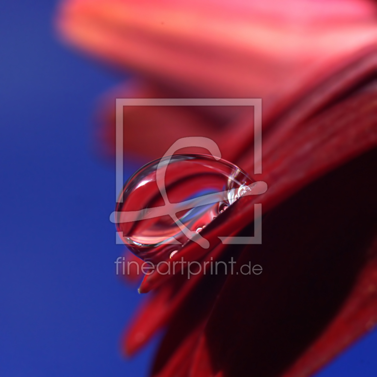 Bild-Nr.: 11855257 Rouge Bild-Nr.: 11855257 Rouge erstellt von youhaveadream