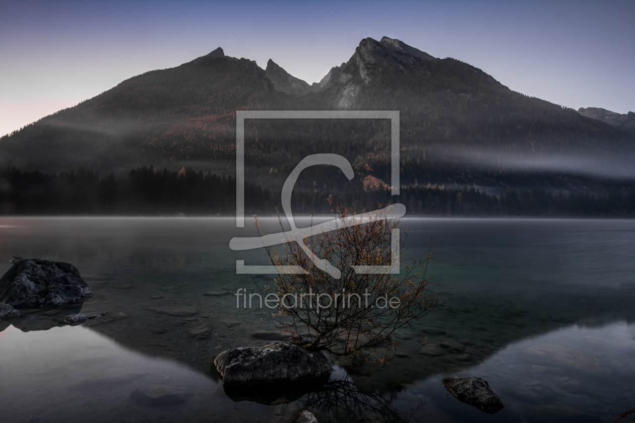 Bild-Nr.: 11855496 Bäumchen im Hintersee Bild-Nr.: 11855496 Bäumchen im Hintersee erstellt von sh-picture