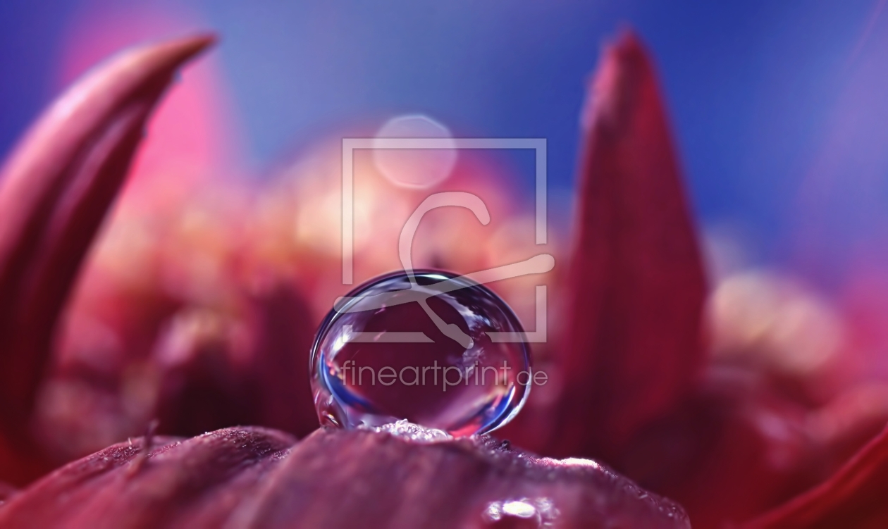 Bild-Nr.: 11855501 World of drops Bild-Nr.: 11855501 World of drops erstellt von youhaveadream
