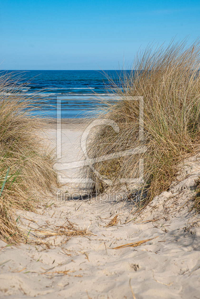 Bild-Nr.: 11855622 Dünen an der Ostsee erstellt von Guenter Purin