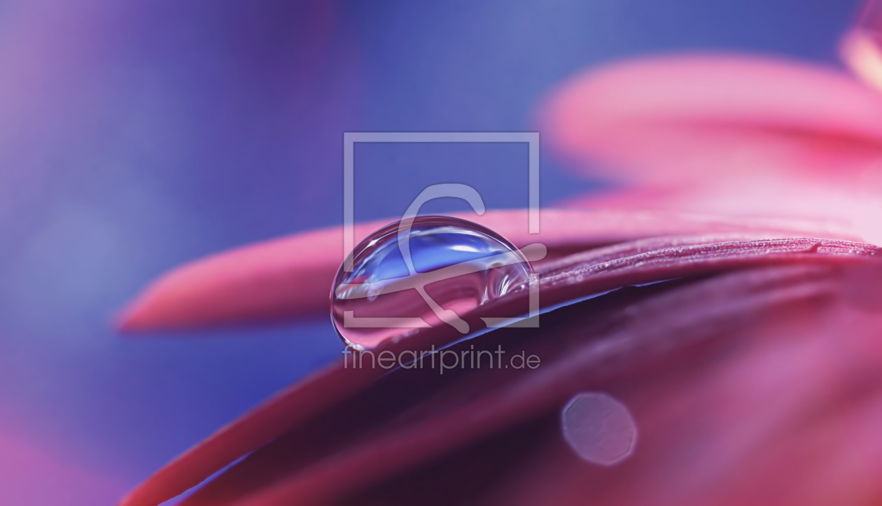 Bild-Nr.: 11855787 Drop Bild-Nr.: 11855787 Drop erstellt von youhaveadream
