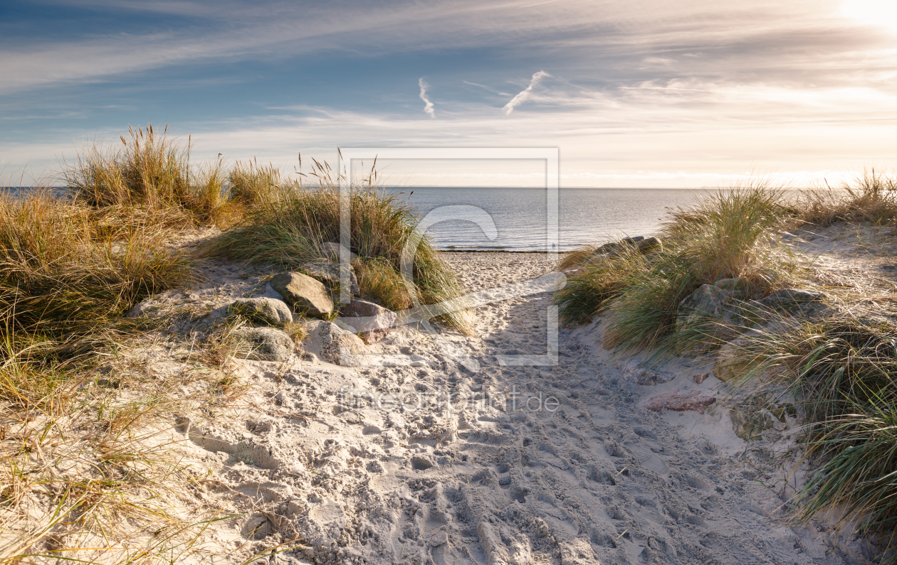 Bild-Nr.: 11856263 Herbst am Ostseestrand erstellt von Ursula Reins