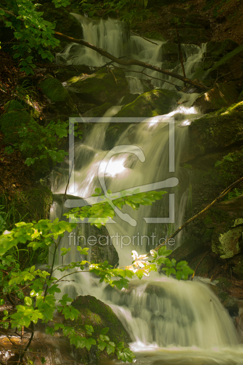 Bild-Nr.: 11856843 Kleiner Wasserfall im Wald erstellt von Guenter Purin