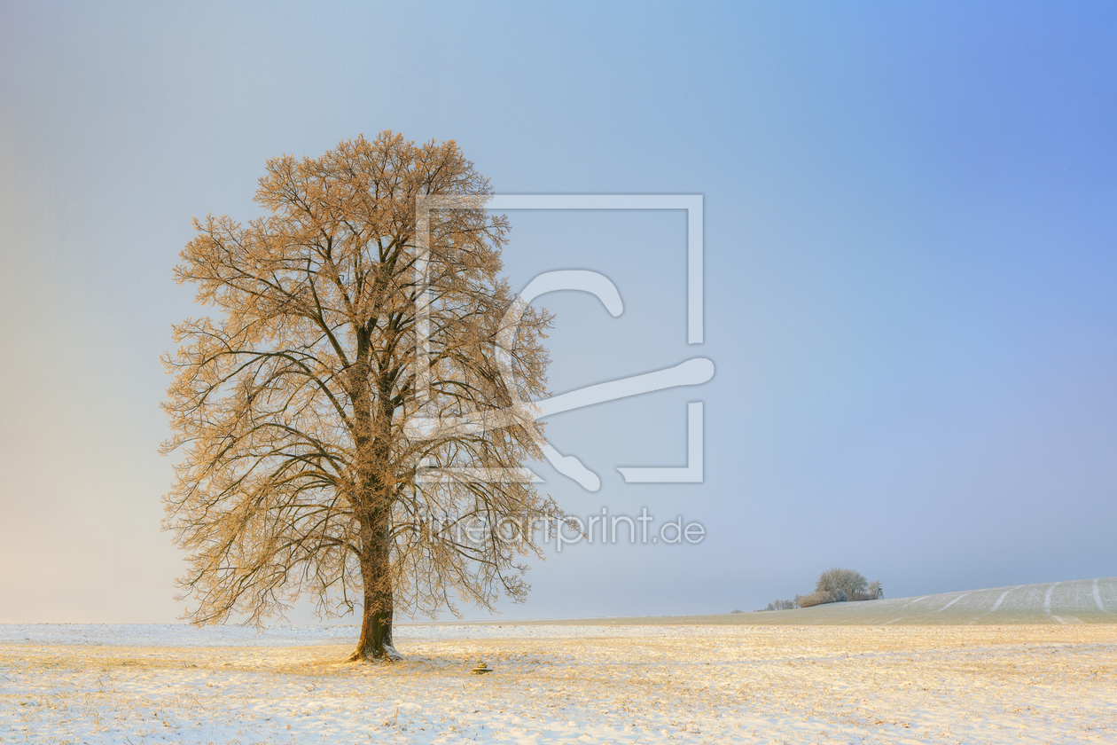 Bild-Nr.: 11856884 Der goldene Baum erstellt von Daniela Beyer