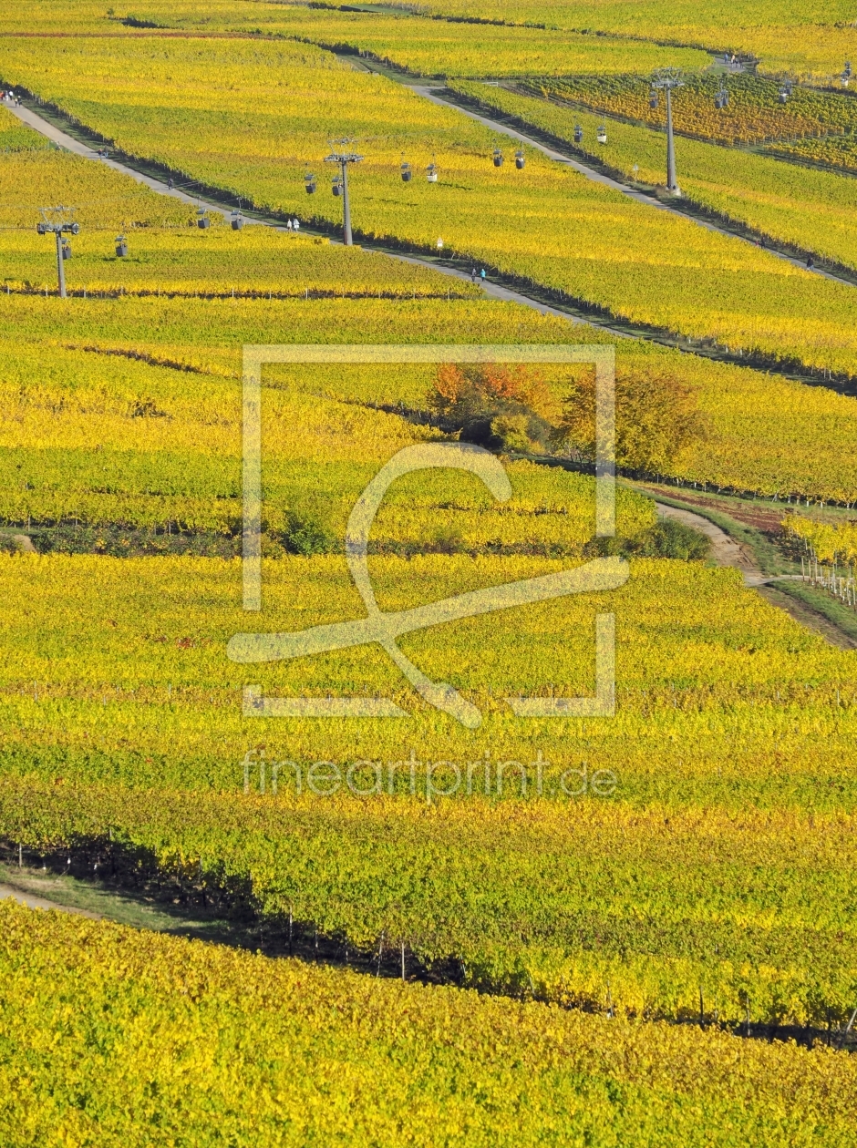 Bild-Nr.: 11857240 Weinberge im Rheingau mit Seilbahn erstellt von Stefan Zimmermann