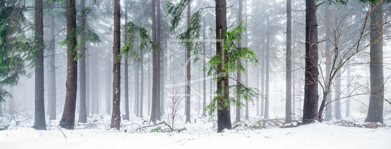 Bild-Nr.: 11858970 Verschneiter Wald im Winter erstellt von eyetronic