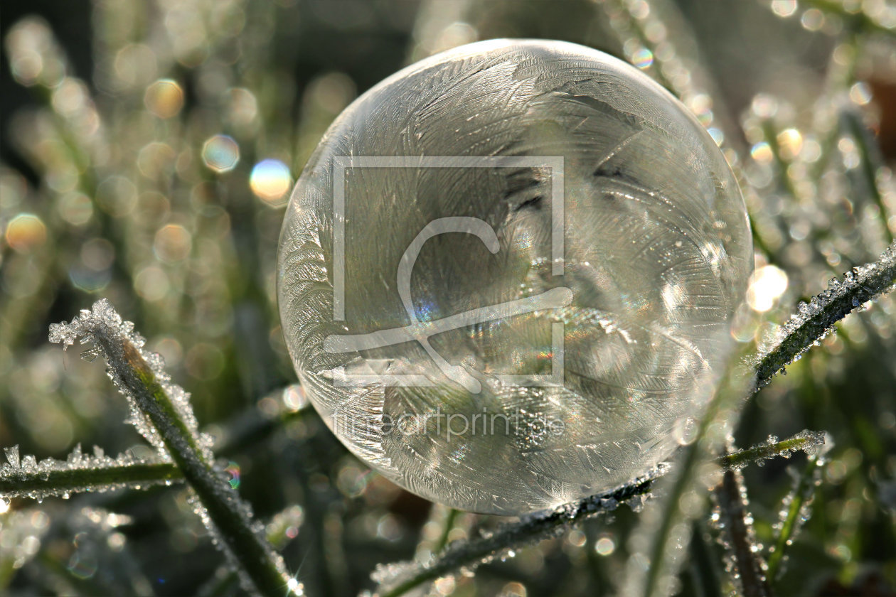 Bild-Nr.: 11859448 Seifenblase im Wintergras erstellt von Heike  Hultsch