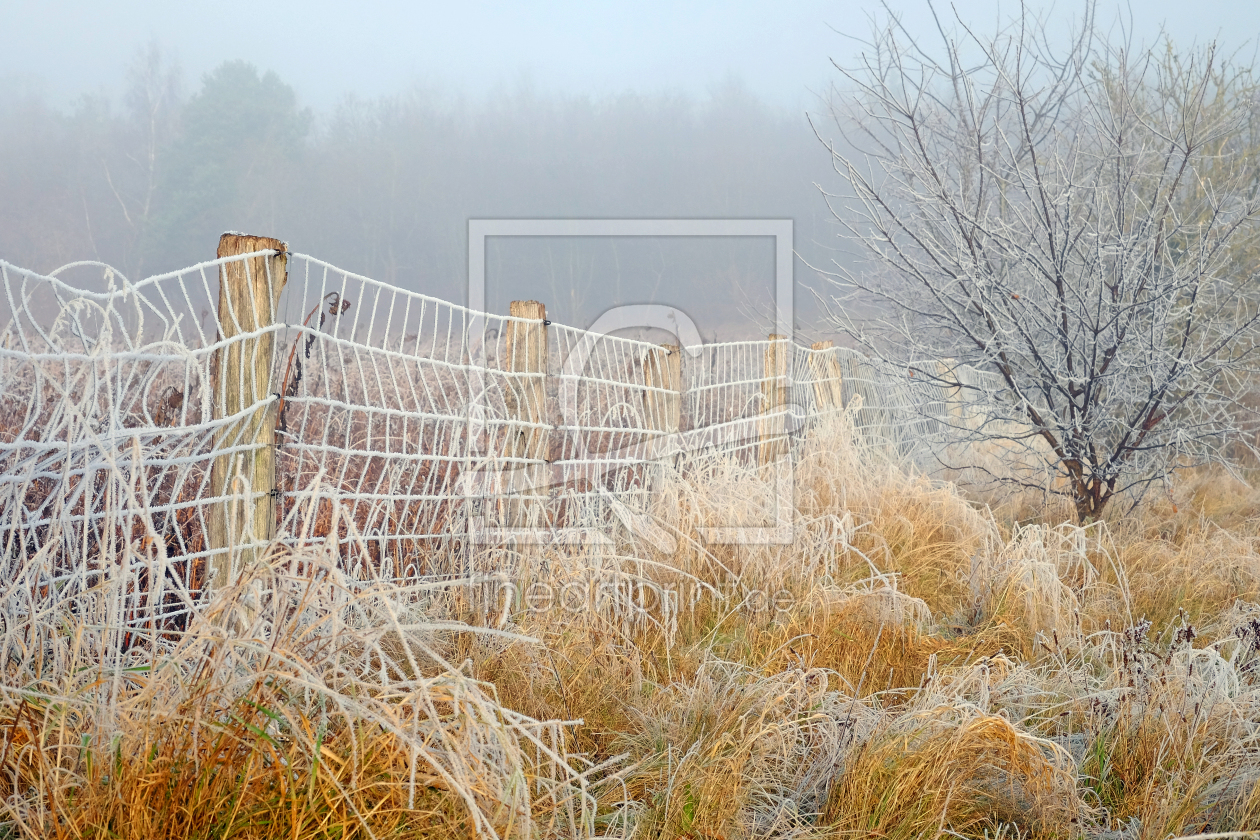 Bild-Nr.: 11859488 Zaun mit Raureif bespickt erstellt von Ostfriese