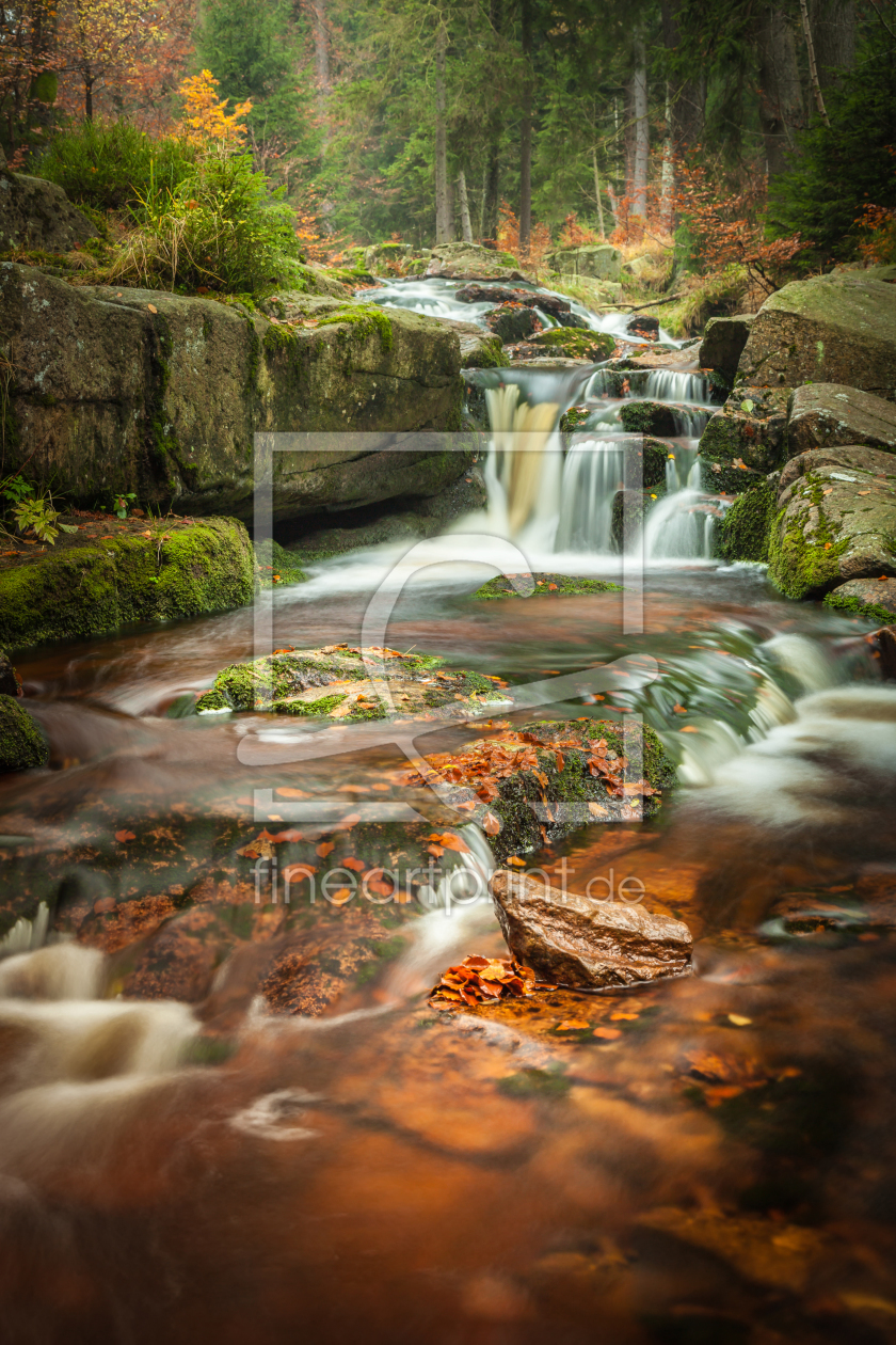 Bild-Nr.: 11859595 harzer wasserfall erstellt von hgfotografie