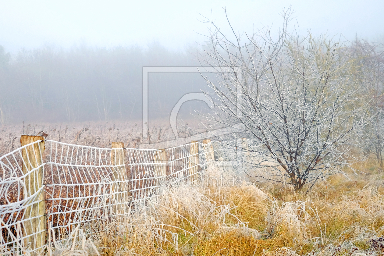 Bild-Nr.: 11859985 Winterlandschaft im Nebel erstellt von Ostfriese