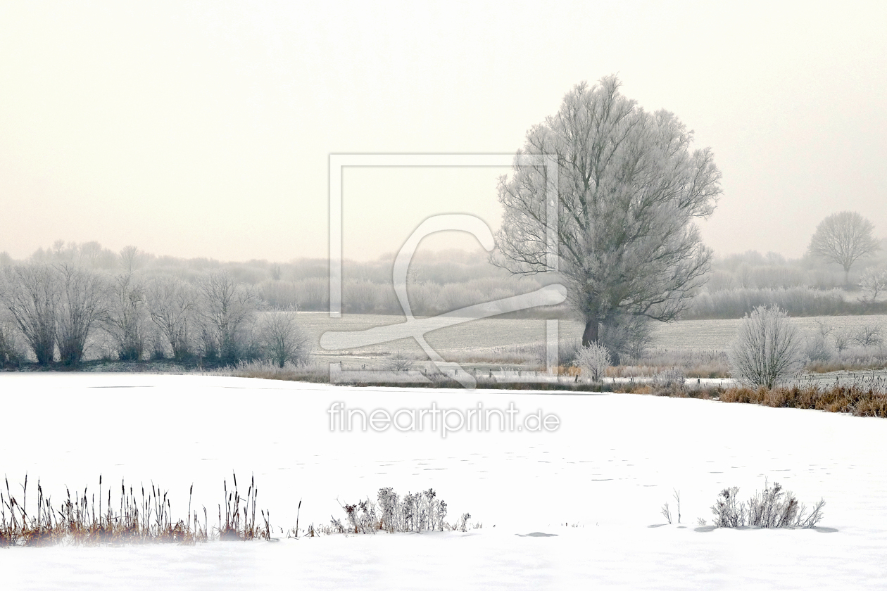 Bild-Nr.: 11861232 Wiesen und Felder erstellt von Ostfriese