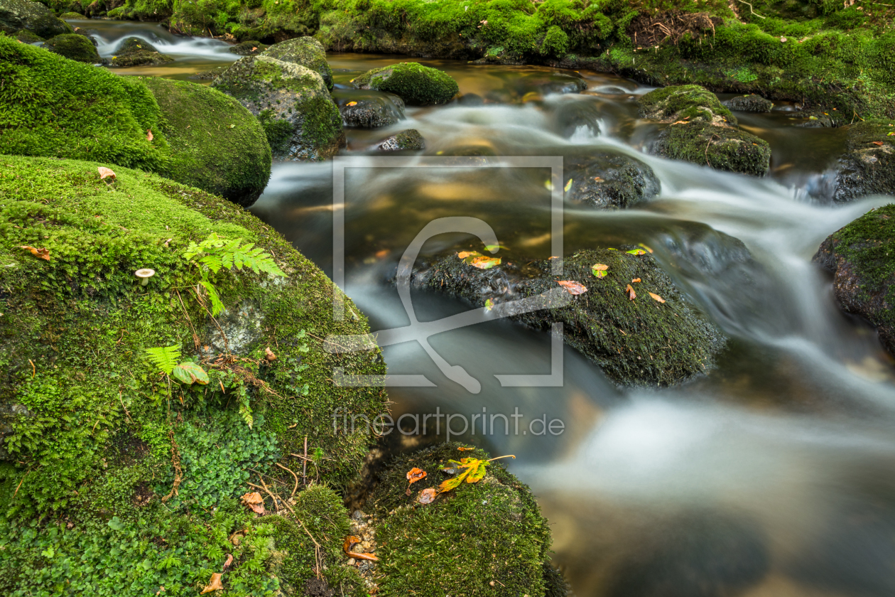 Bild-Nr.: 11863930 Bach der Natur erstellt von luxpediation