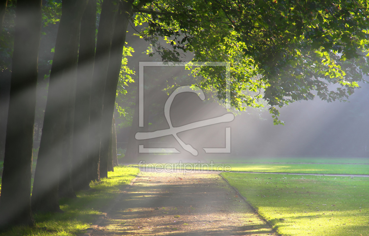 Bild-Nr.: 11864736 Herbst im Park erstellt von falconer59